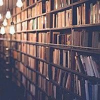 Library shelves filled with books
